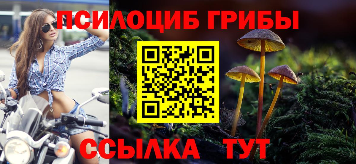 Уварово  Галлюциногенные грибы Psilocybe  Псилоцибиновые грибы Cubensis  Вход с VPN 